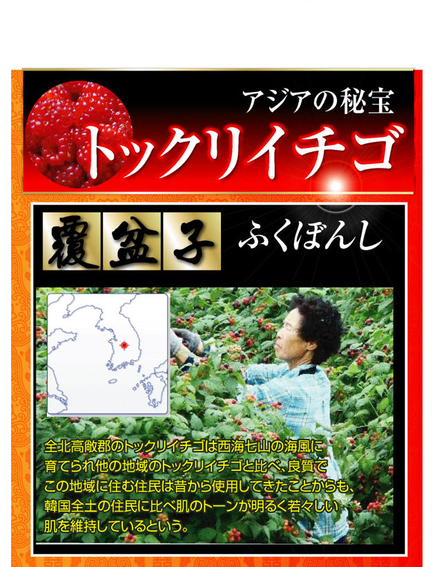 �g�b�N���C�`�S�Ό� �摜14