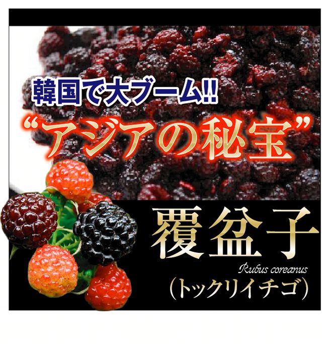 �g�b�N���C�`�S�Ό� �摜2
