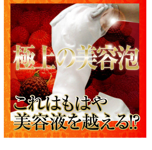�g�b�N���C�`�S�Ό� �摜4