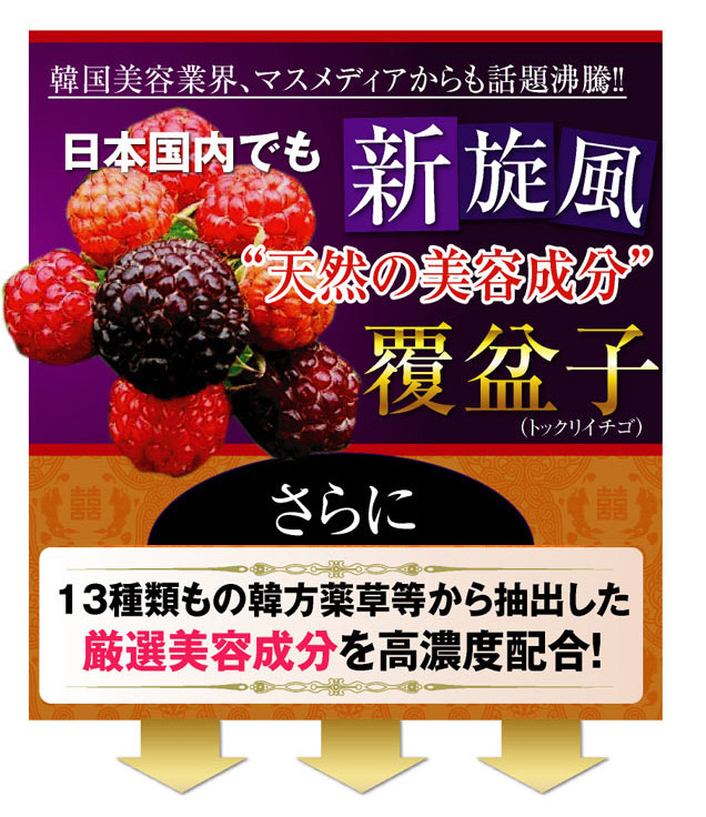 �g�b�N���C�`�S�Ό� �摜7