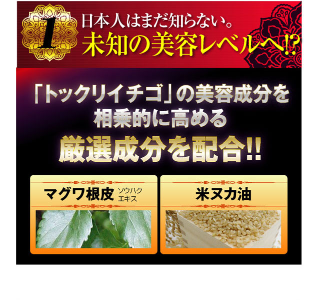 �g�b�N���C�`�S�Ό� �摜8